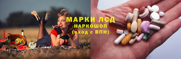 гидропоника Алзамай