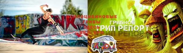 гидропоника Алзамай