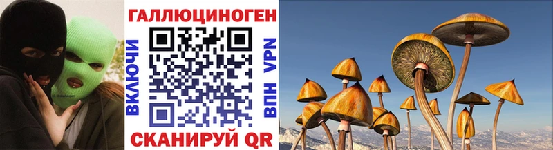 Галлюциногенные грибы прущие грибы Коряжма